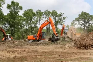 Почистване на имот от дървета и подготовка за строителство